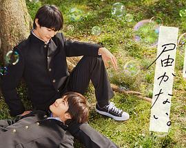 正规网站优化服务有哪些类型